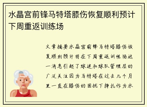水晶宫前锋马特塔膝伤恢复顺利预计下周重返训练场